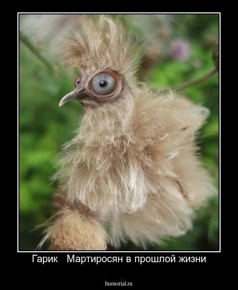 Гарик   Мартиросян в прошлой жизни