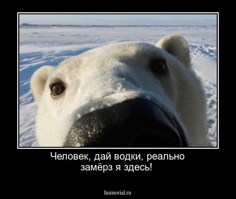 Человек, дай водки,  реально  замёрз я здесь!