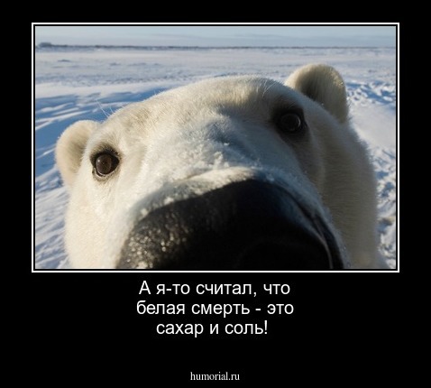 А я-то считал, что белая смерть - это сахар и соль!