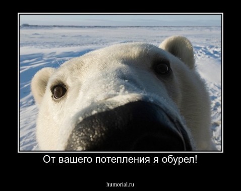 От вашего потепления я обурел!