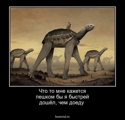 Что  то  мне  кажется  пешком бы я быстрей дошёл,  чем    доеду
