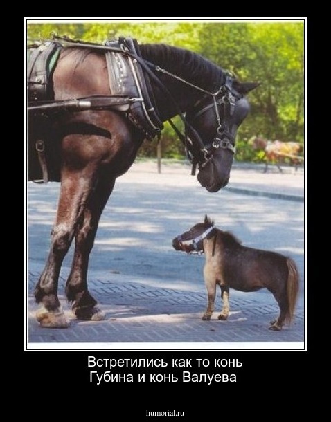 Встретились как то конь Губина и конь Валуева