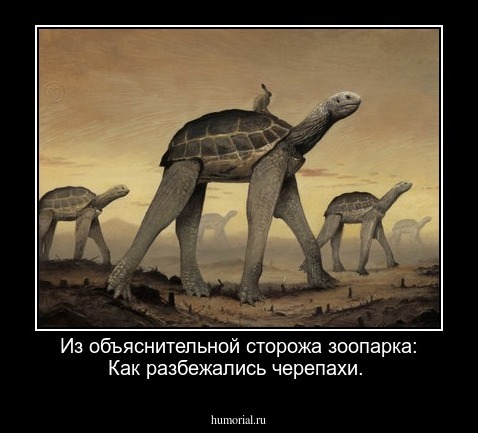 Из объяснительной сторожа зоопарка: Как разбежались черепахи.