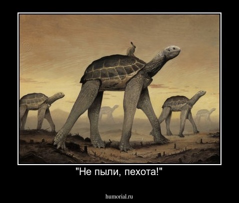 "Не пыли, пехота!"
