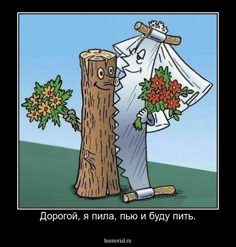 Дорогой, я пила, пью и буду пить.
