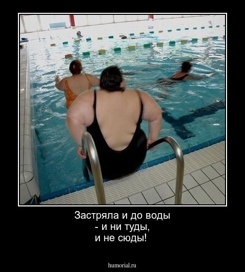 Застряла и до воды - и ни туды, и не сюды!