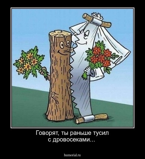Говорят, ты раньше тусил с дровосеками...