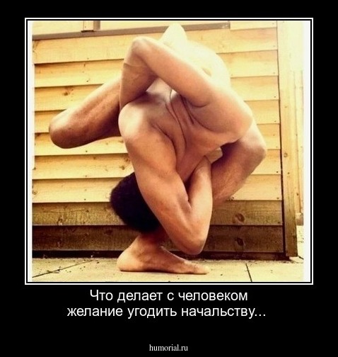 Что делает с человеком желание угодить начальству...