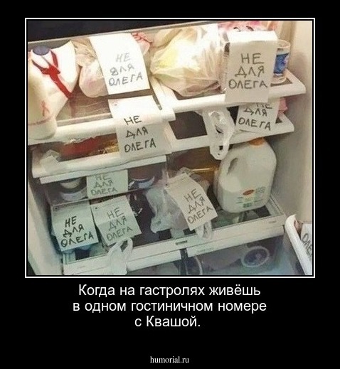 Когда на гастролях живёшь в одном гостиничном номере с Квашой.