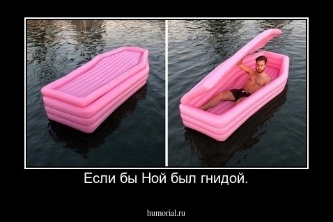 Если бы Ной был гнидой.
