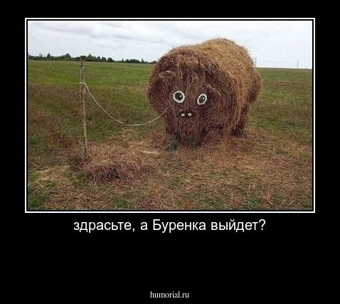 здрасьте, а Буренка выйдет?

