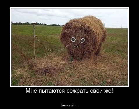 Мне пытаются сожрать свои же!