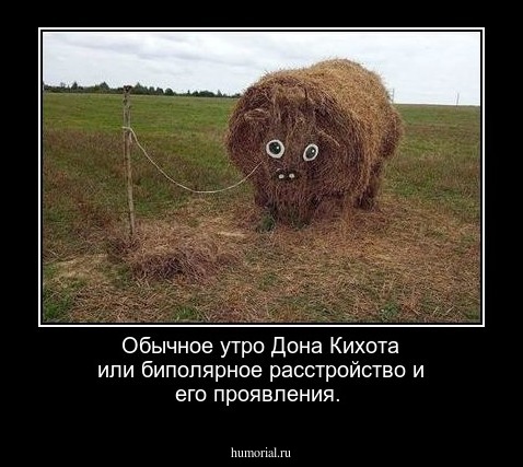 Обычное утро Дона Кихота или биполярное расстройство и его проявления.