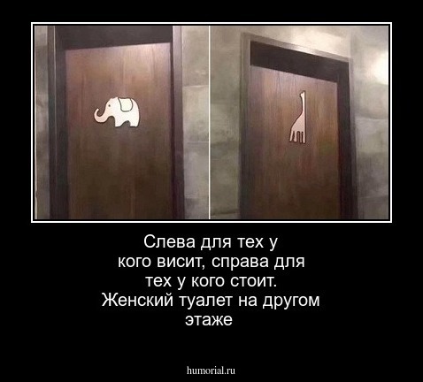 Слева для  тех  у  кого  висит, справа для  тех  у  кого  стоит.  Женский туалет  на другом  этаже