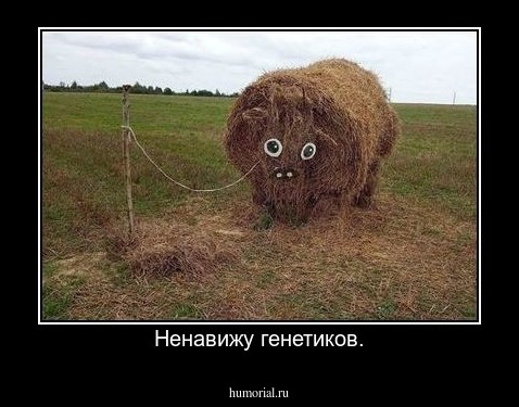 Ненавижу генетиков.