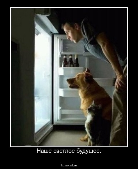 Наше светлое будущее.