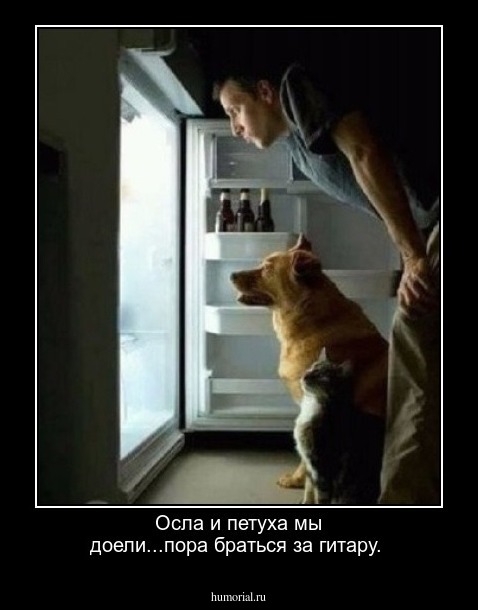 Осла и петуха мы доели...пора браться за гитару.