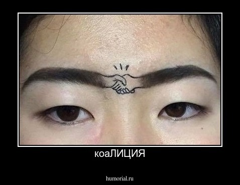 коаЛИЦИЯ