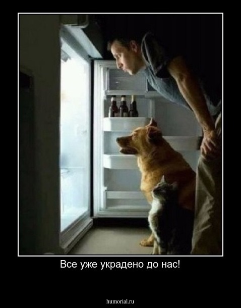 Все уже украдено до нас!
