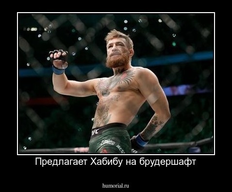 Предлагает Хабибу на брудершафт