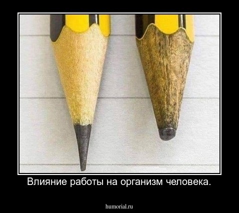 Влияние работы на организм человека.