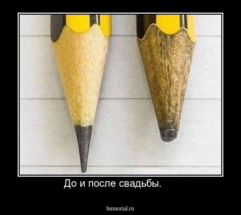 До и после свадьбы.     