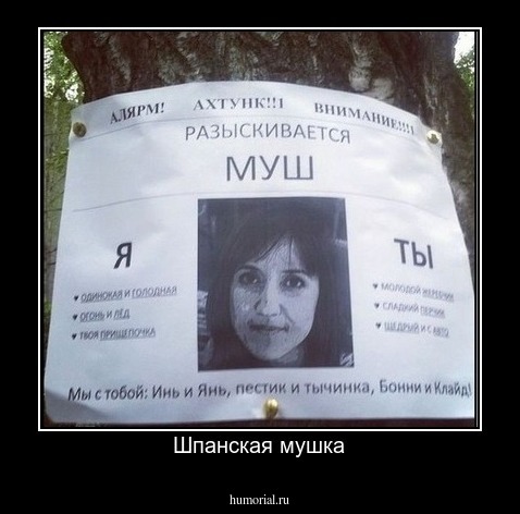 Шпанская мушка
