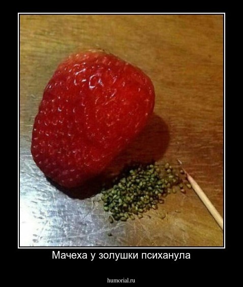 Мачеха у золушки психанула