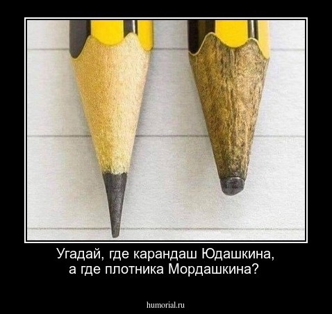 Угадай,  где карандаш Юдашкина, а где плотника Мордашкина?