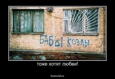 тоже хотят любви!