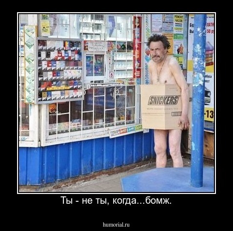  Ты - не ты, когда...бомж.