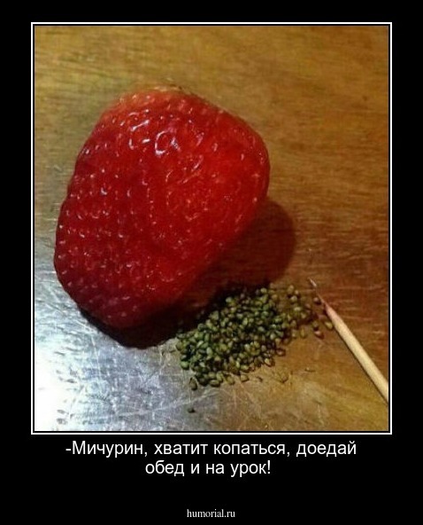 -Мичурин, хватит копаться, доедай обед и на урок!