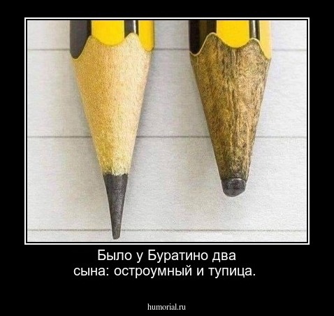 Было у Буратино два сына: остроумный и тупица.