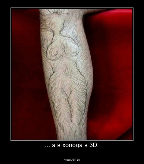 ... а в холода в 3D.