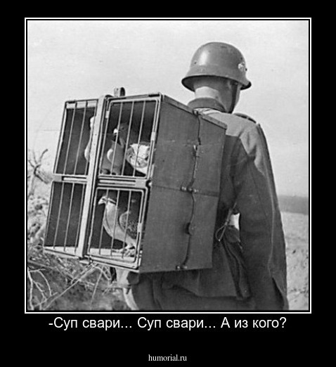 -Суп свари... Суп свари... А из кого?
