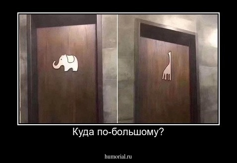 Куда по-большому?