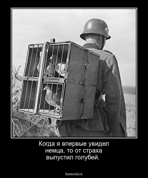 Когда я впервые увидел немца, то от страха выпустил голубей.