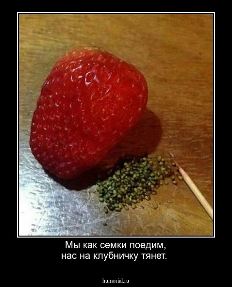 Мы как семки поедим, нас на клубничку тянет.