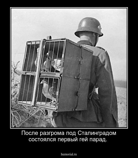 После разгрома под Сталинградом состоялся первый гей парад.