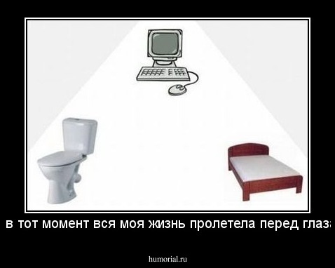 ..."и в тот момент вся моя жизнь пролетела перед глазами"