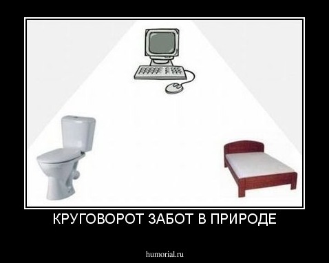 КРУГОВОРОТ ЗАБОТ В ПРИРОДЕ