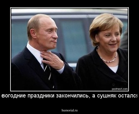 Новогодние праздники закончились, а сушняк остался...