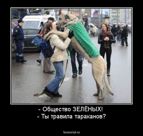 - Общество ЗЕЛЁНЫХ! 
- Ты травила тараканов?