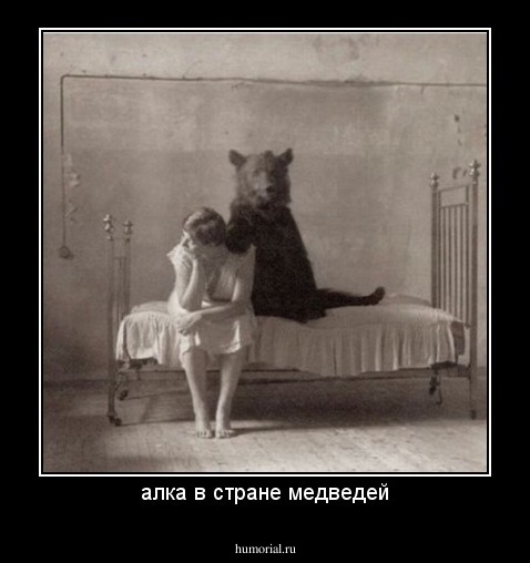 алка в стране медведей