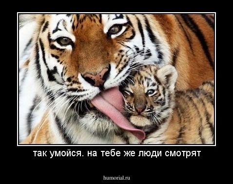 так умойся. на тебе же люди смотрят