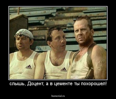 слышь, Доцент, а в цементе ты похорошел!