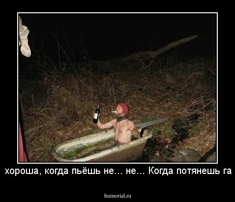 Жизнь хороша, когда пьёшь не... не... Когда потянешь гашишА!