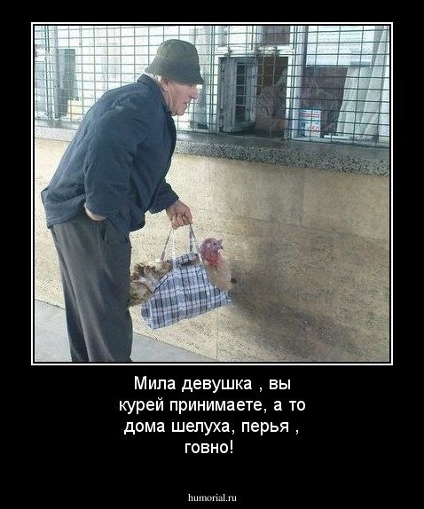Мила девушка , вы курей принимаете, а то дома шелуха, перья , говно!