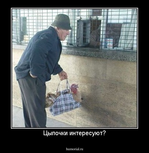 Цыпочки интересуют?