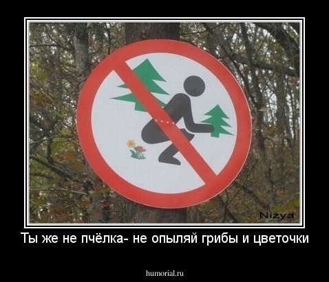 Ты же не пчёлка- не опыляй грибы и цветочки